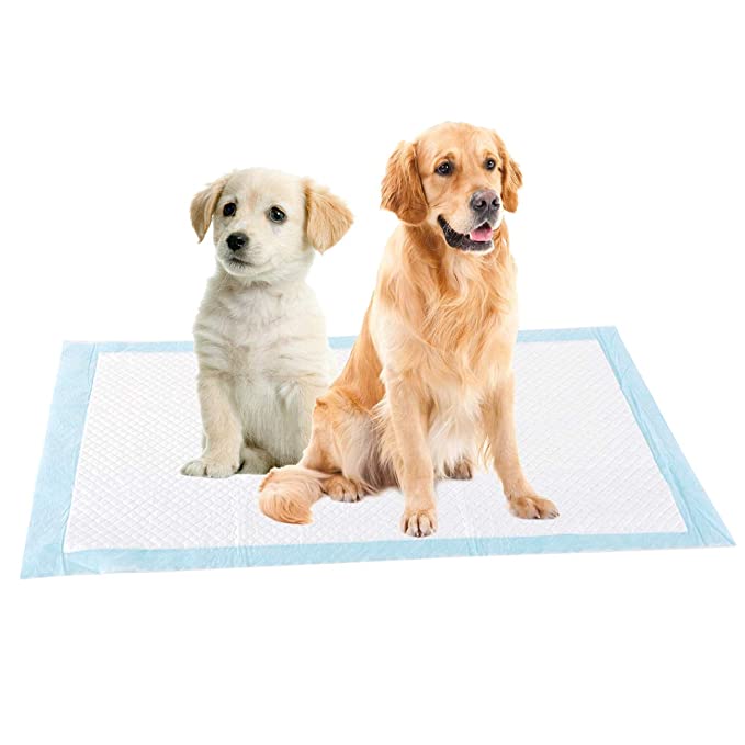 Absorberende tisseputer for valpetrening, beskytter gulv og sikrer renslighet.