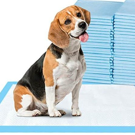 Effektive tisseputer for kjæledyr, fremmer renslighet og forenkler hundetreningen.