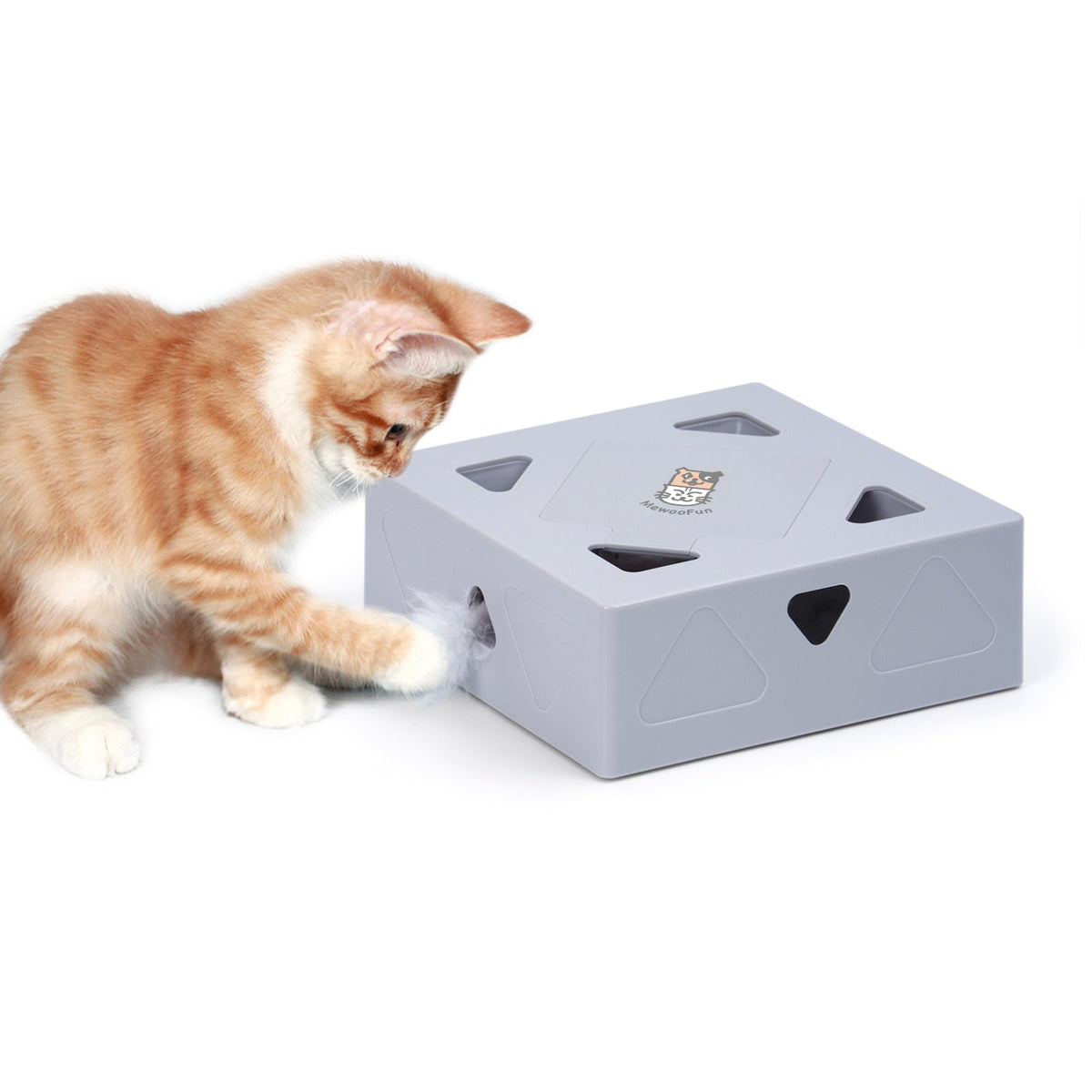 Automatisk interaktiv katteleke med fjær, perfekt for aktivitet og lek for katter og kattunger.