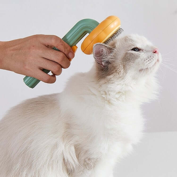 Myk gresskar kjæledyrbørste for daglig pelsstell, stimulerer blodsirkulasjonen.