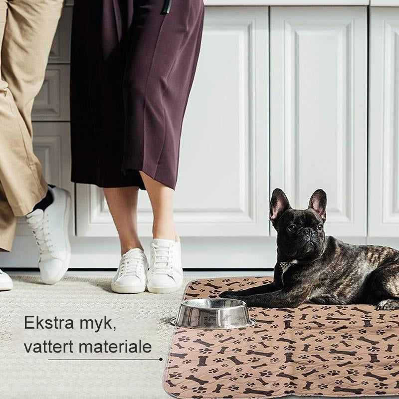 "Elegant, absorberende vaskbare tisseputer til kjæledyr, myke lag med sklisikker bunn, 40x60 cm, bidrar til et rent hjem."
