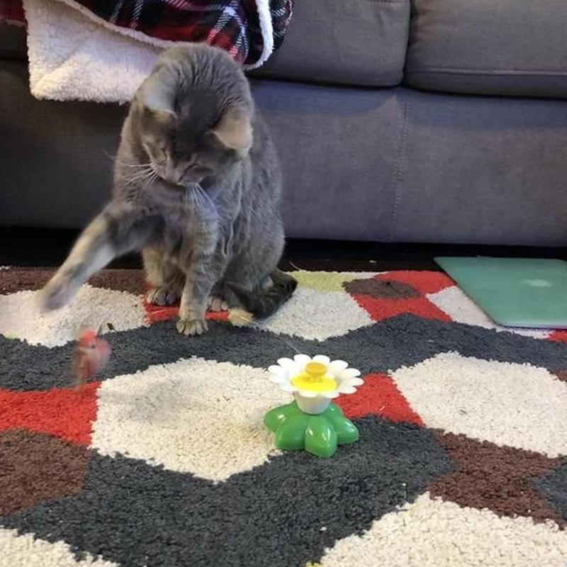 "Fargerik interaktiv fugleleke for katter, etterligner jakt, gir fysisk trening og mental stimulering, katteleke."