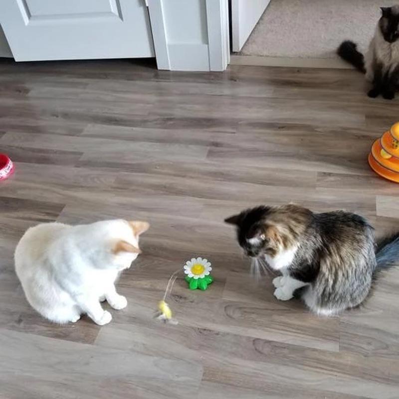 "Fargerik interaktiv fugleleke for katter, etterligner jakt, gir fysisk trening og mental stimulering, katteleke."