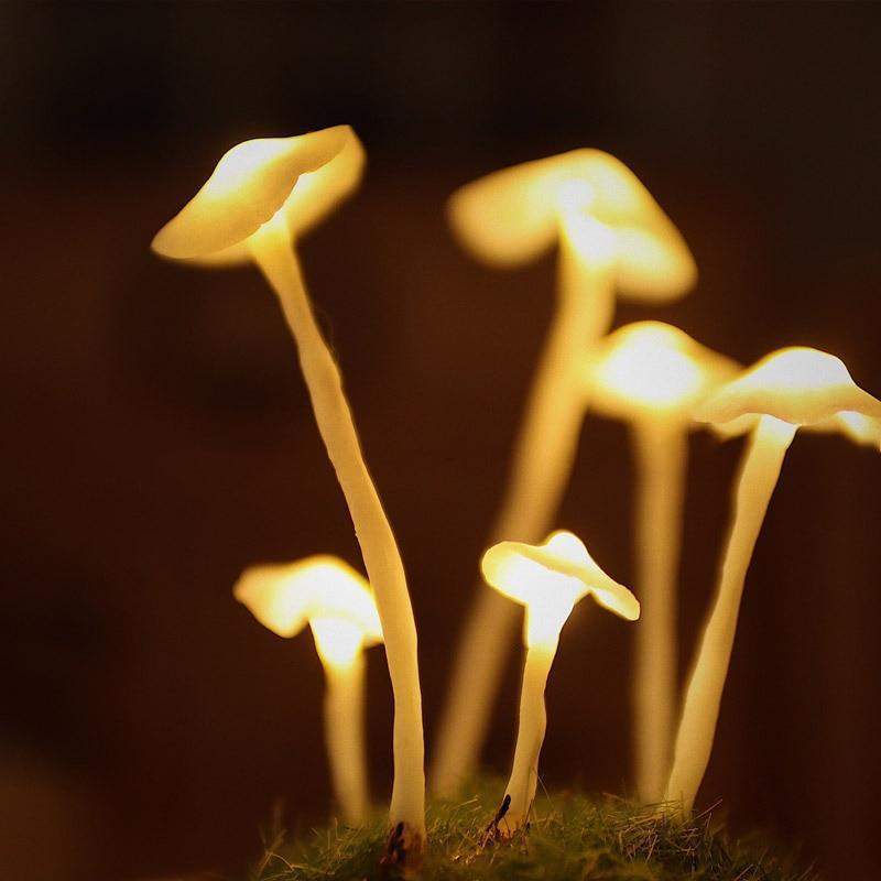 Myk, varm belysning fra en DIY sopplampe som skaper en koselig atmosfære i stuen.