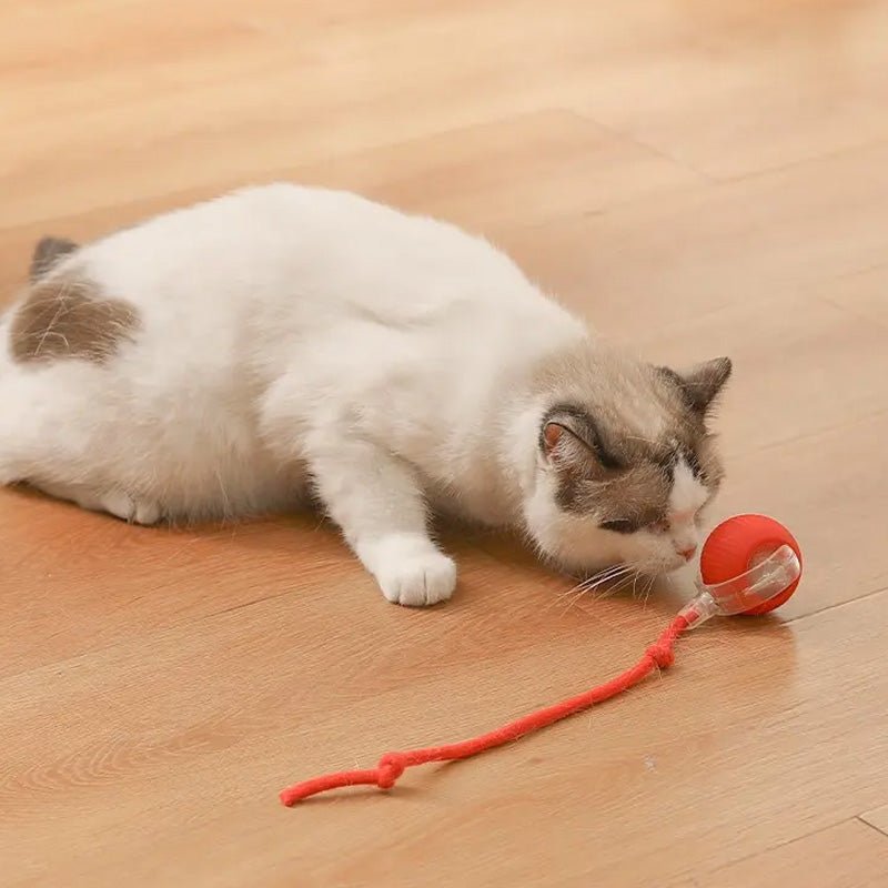 "Grå, rød og grønn smart interaktiv lekeball for katter, robust design med fargerike lys for aktivisering og moro."
