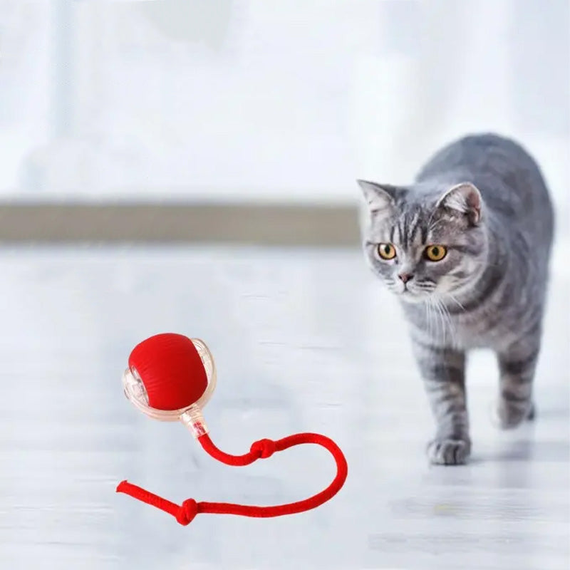 "Grå, rød og grønn smart interaktiv lekeball for katter, robust design med fargerike lys for aktivisering og moro."