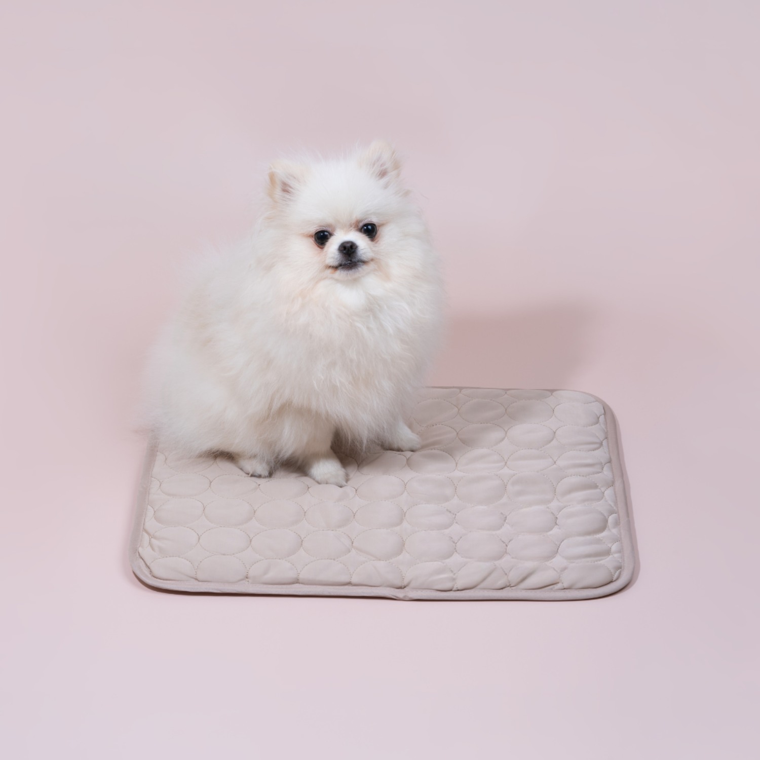 Selvkjølende matte til hund, ideell for avkjøling og komfort om sommeren.