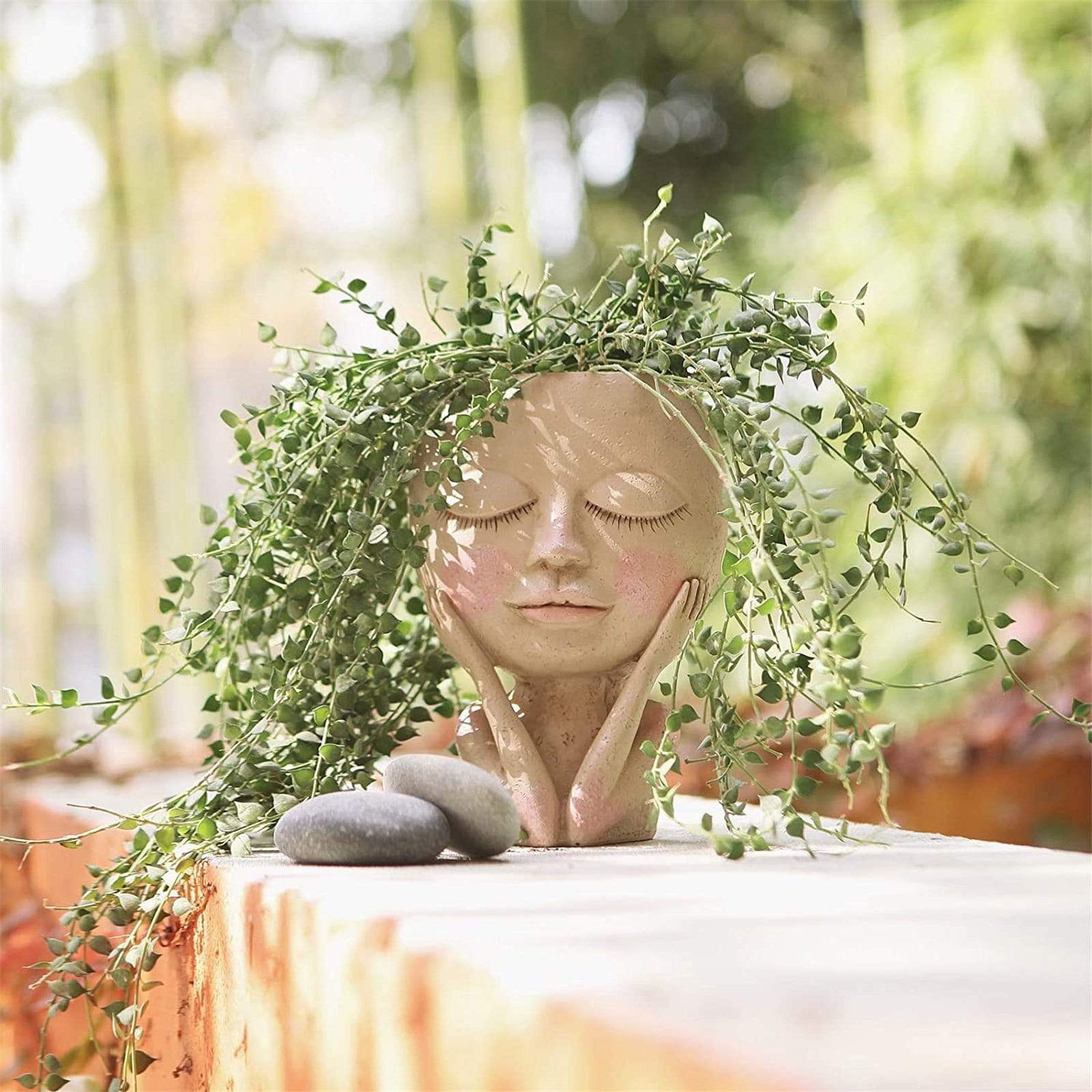 Hjeminnredning: Kreativ ansiktsblomsterpotte for innendørs planter