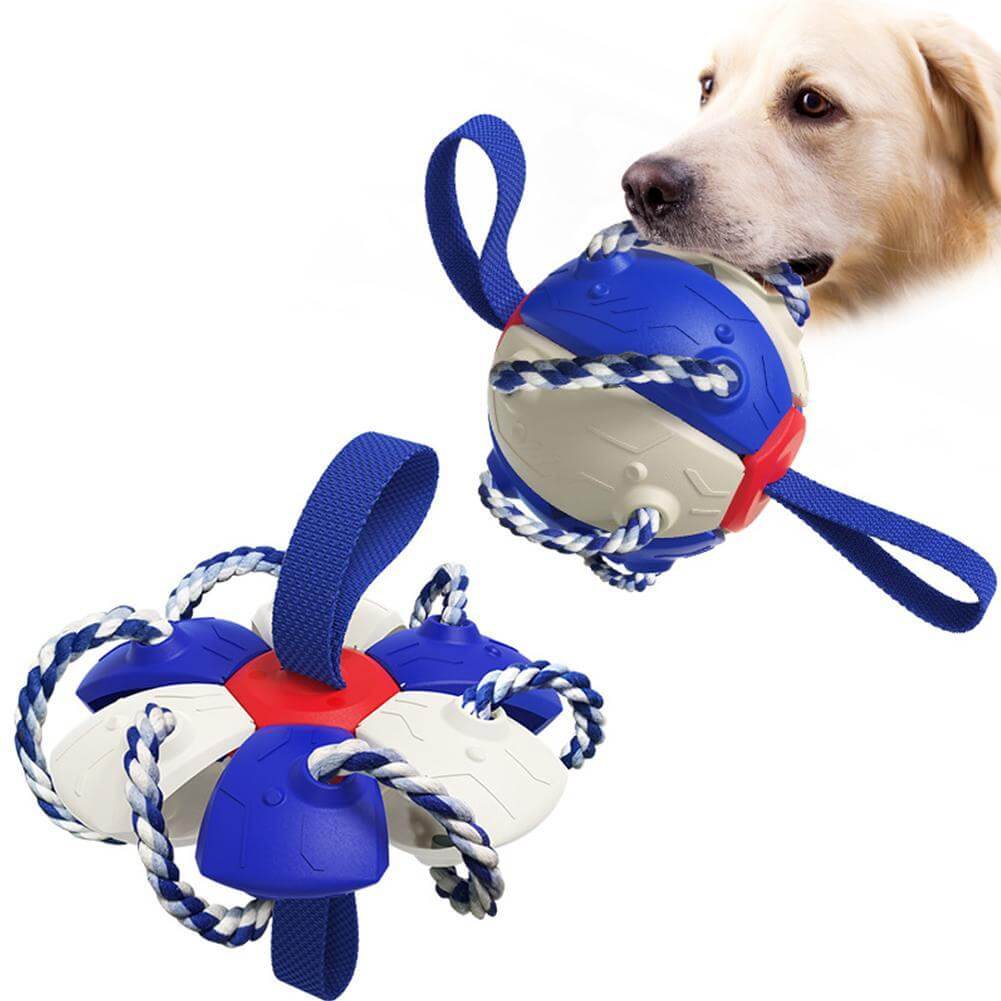 Smart interaktiv frisbee ball hundeleke. Flott for engasjerende trening, aktivitet & lek med din hund.