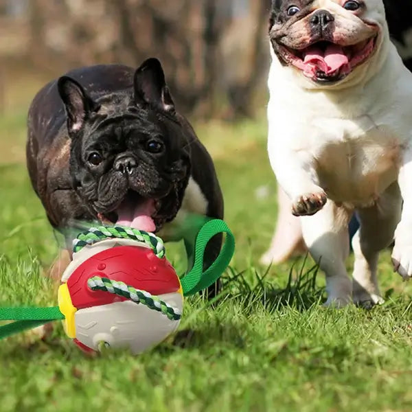 Engasjerende frisbee ball hundeleke. Ideell for utendørs aktivitet, interaktiv trening & moro med valpen.