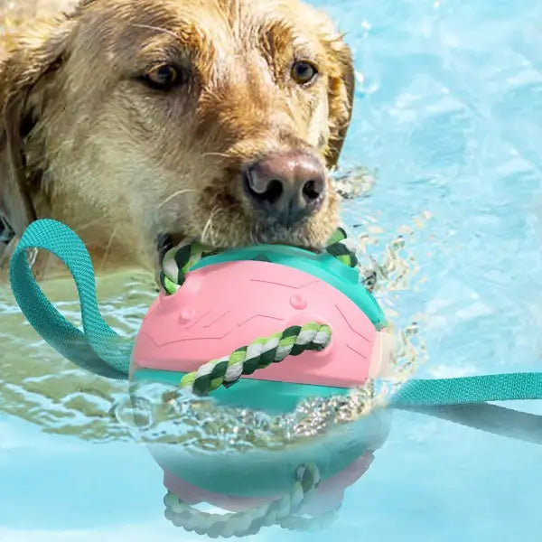 Slitesterk frisbee ball hundeleke. Perfekt interaktiv leke for aktivitet, trening & tygging for din hund.