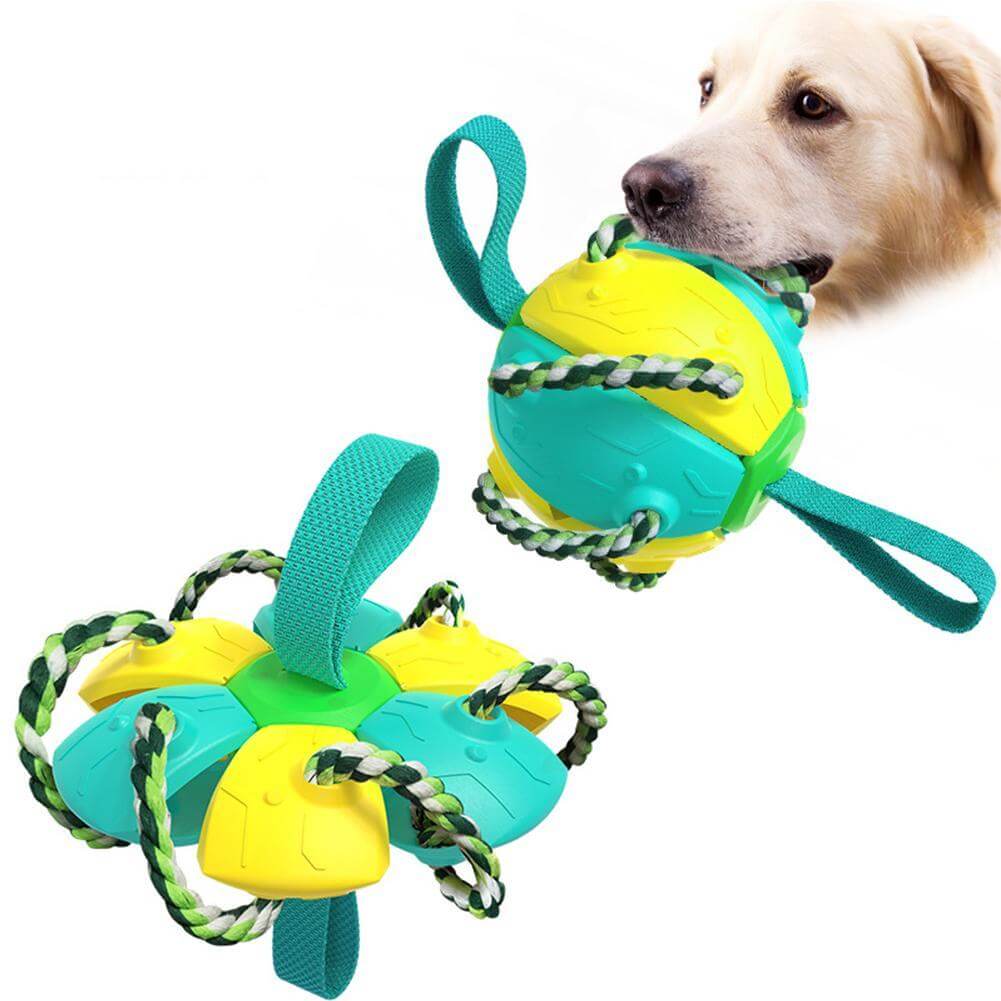 Oransje interaktiv frisbee ball hundeleke. Multifunksjonell for trening, aktivitet & tyggeleke til valp.