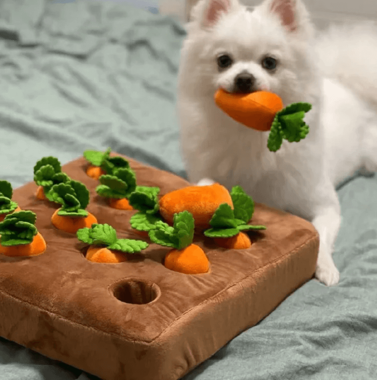 Plysj gulrot hundeleke, fremmer mental stimulering. En aktivitetsleke for din hunds berikelse.