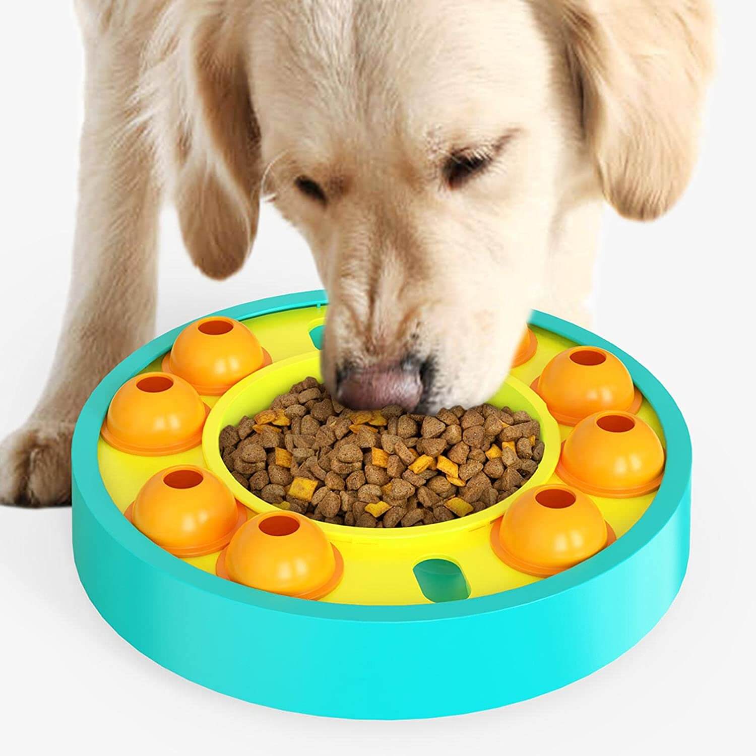 Eier og hund trener med interaktiv hundeleke. Fremmer bånd og sunt kosthold, god mental stimulering for kjæledyr.