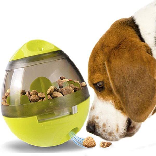 Valp utforsker slow feeder leke, interaktiv materball for mental stimulering.