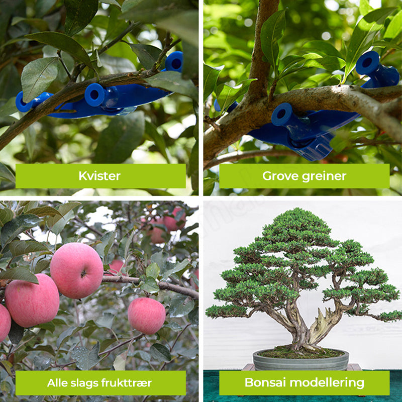 Justerbar blå grenformer i plast for frukttrær. Gir støtte og fleksibilitet for optimal trevekst. Enkelt design.