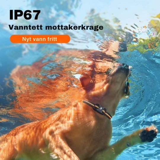 "Justérbart, svart fjernstyrt dressurhalsbånd med lang rekkevidde og solid, vanntett design for alle værforhold."