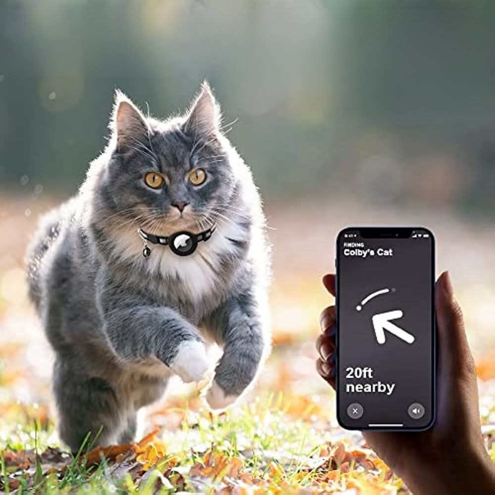 Nærbilde av slitesterkt, justerbart katt halsbånd med GPS-feste, reflekterende striper, sikkerhetsutstyr katt.