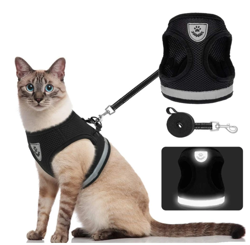 Kattesele og bånd for trygge utendørs eventyr. Rømningssikker sele med komfort for din katt.