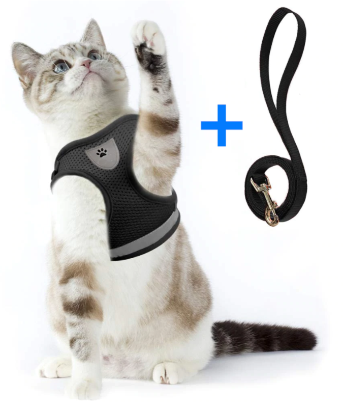 Rømningssikker kattesele i mykt materiale med justerbare stropper og solid kattebånd.