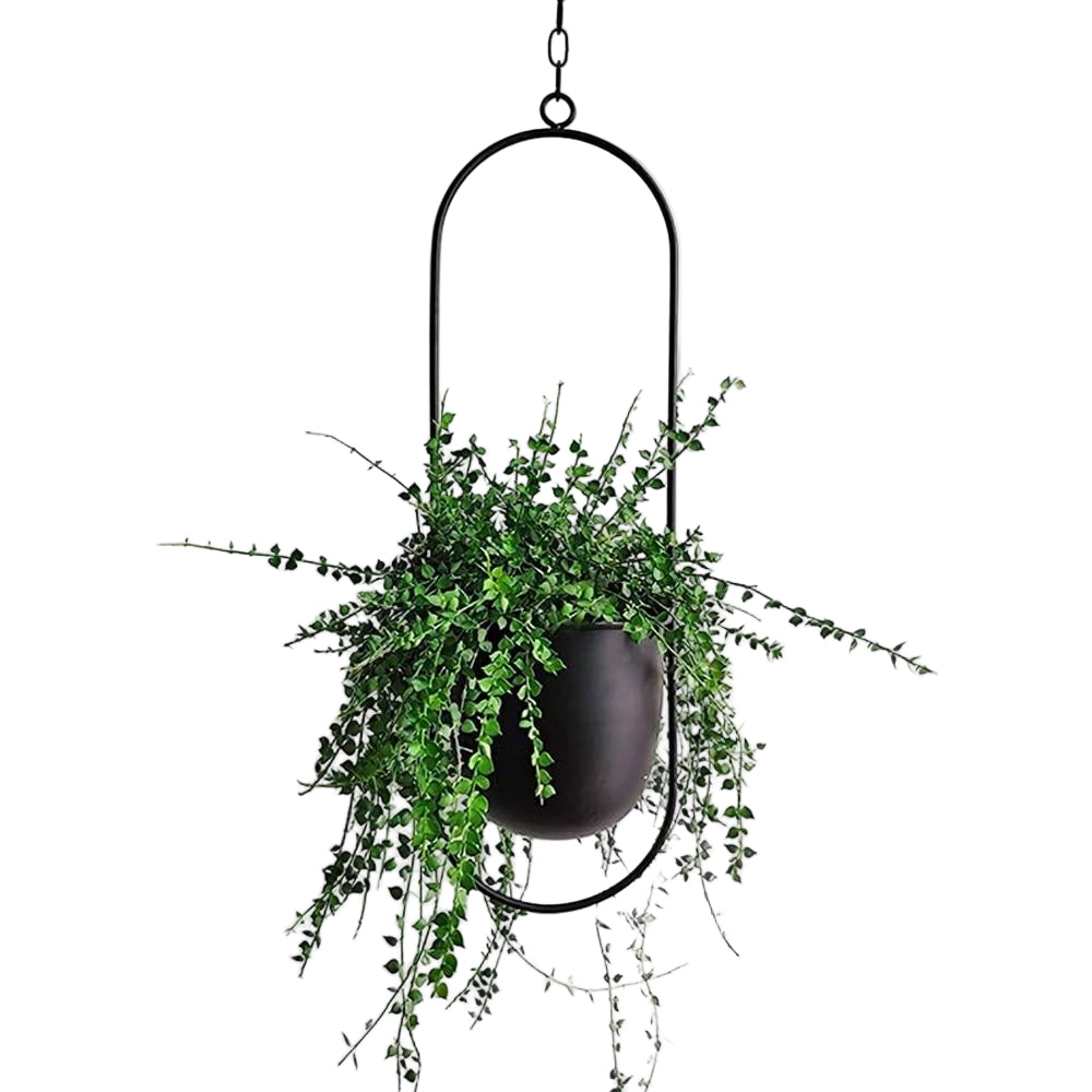 Minimalistisk veggmontert planteholder i sort jern, perfekt for grønneplanter og moderne interiørdesign.