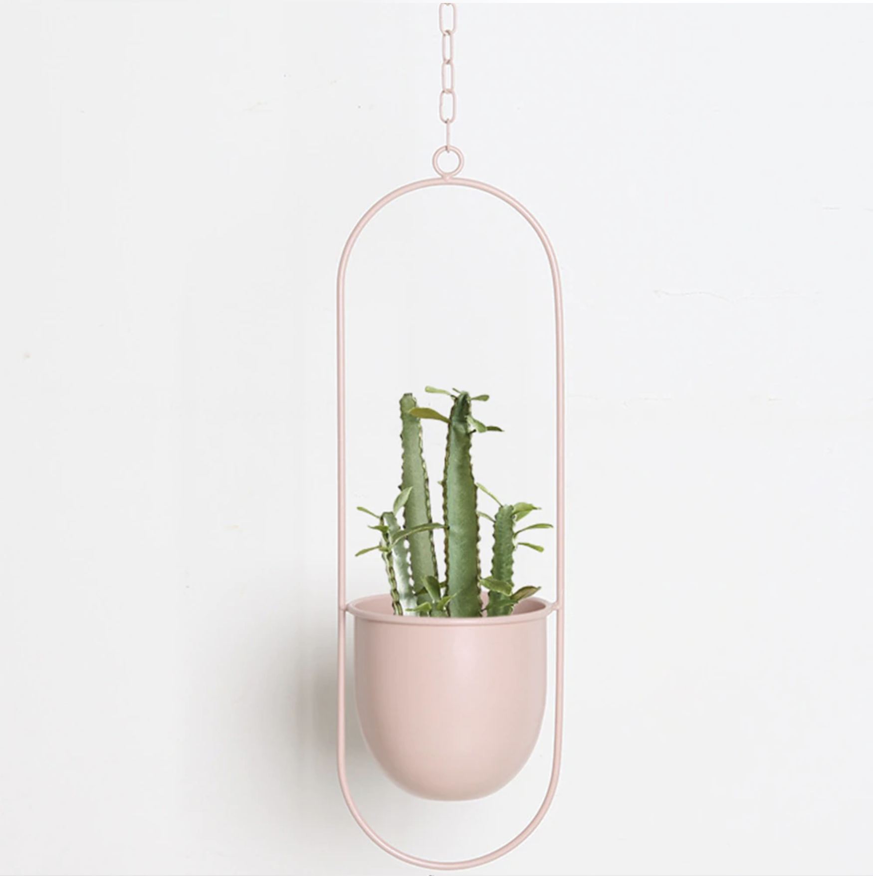 Hengende veggdekor: En minimalistisk planteholder i jern som skaper et moderne uttrykk med grønneplanter.