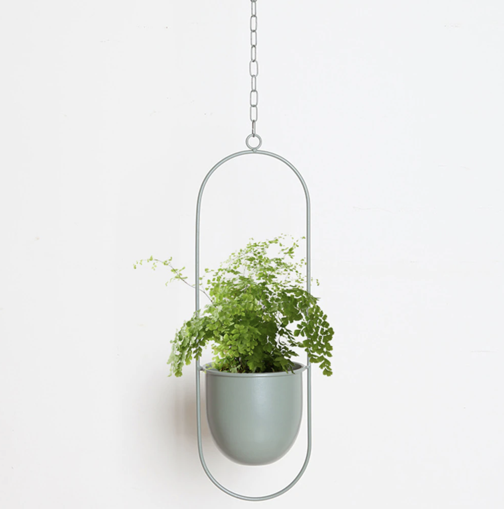 Nærbilde av en veggmontert planteholder i matt sort jern, detalj som forbedrer romdekor og interiørdesign.