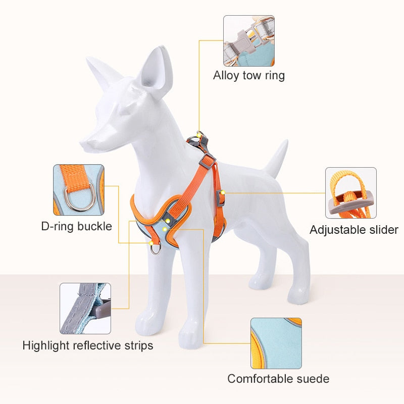 Premium reflekterende hundesele & vest. Optimal sikkerhet og komfort for hund og valp under turer.