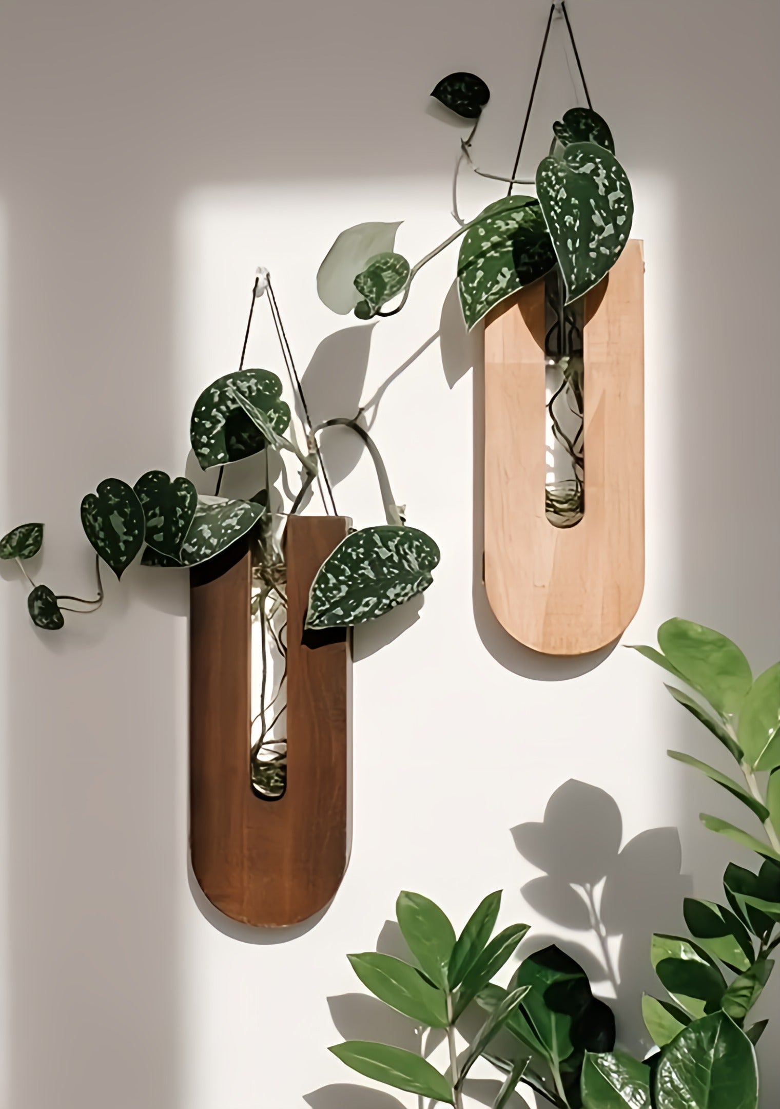 Detalj av rustikk treveggdekor med grønn plante, fremhever tekstur og naturlig skjønnhet i innredningen.
