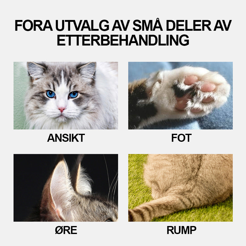 "Sikker og presis pet mini trimmer for kjæledyr, ergonomisk håndtak, trådløs, tilgjengelig i grønn, hvit, rosa, svart."