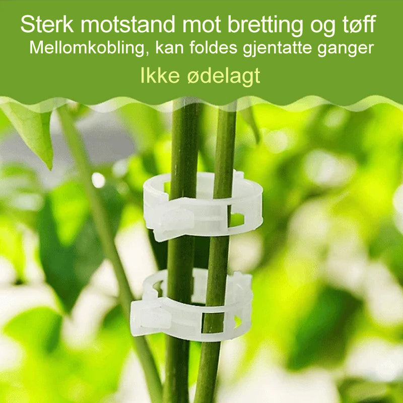 "Slitesterke plantestøtteklips for hage; hvite, runde design for optimal plantevekst og beskyttelse, lett å justere."