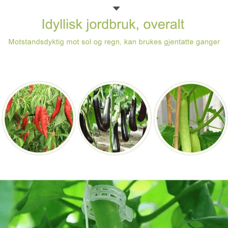 "Slitesterke plantestøtteklips for hage; hvite, runde design for optimal plantevekst og beskyttelse, lett å justere."