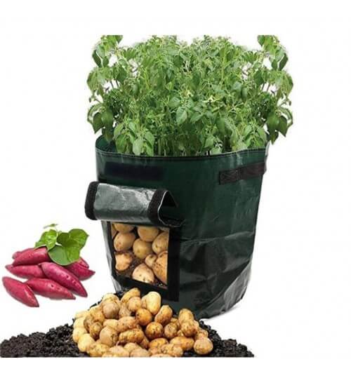 Flere potetdyrkingsposer arrangert på en balkong, skaper en produktiv urban hage.