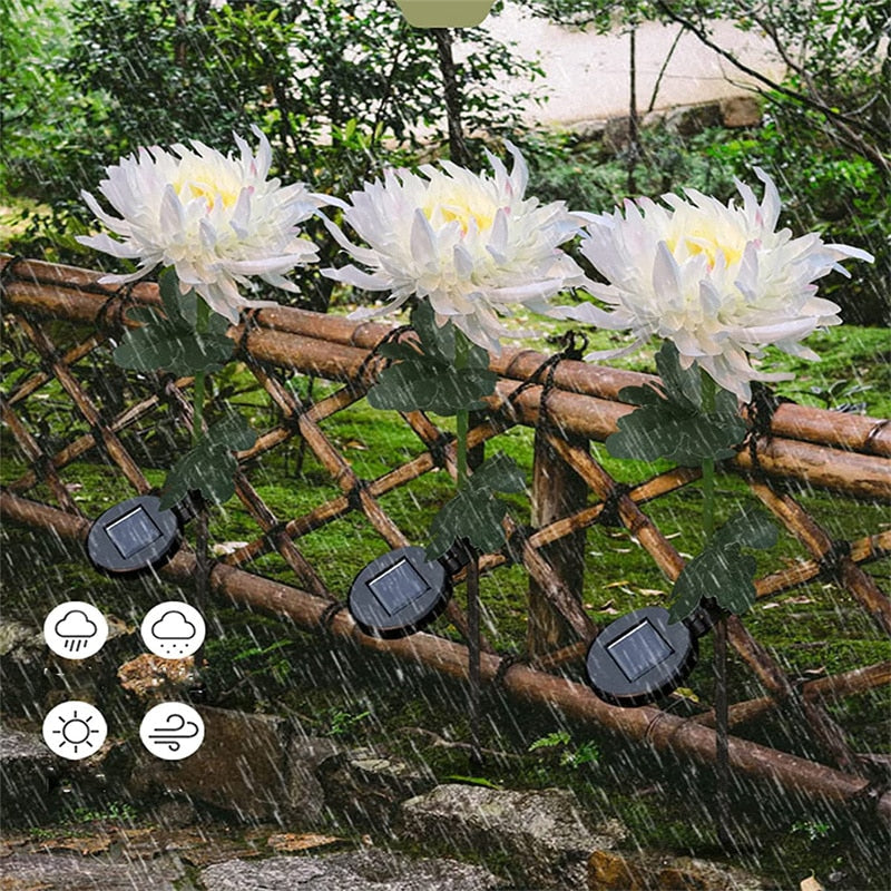 Solcelledrevet LED-blomsterlys i krysantemumdesign, ideelt for uteterrasse og hagedekorasjon