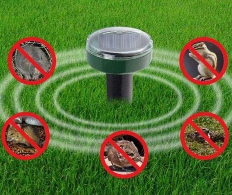 Flere solcelledrevne gnager- og mulvarpskremmere installert i en stor hage for optimal effekt.