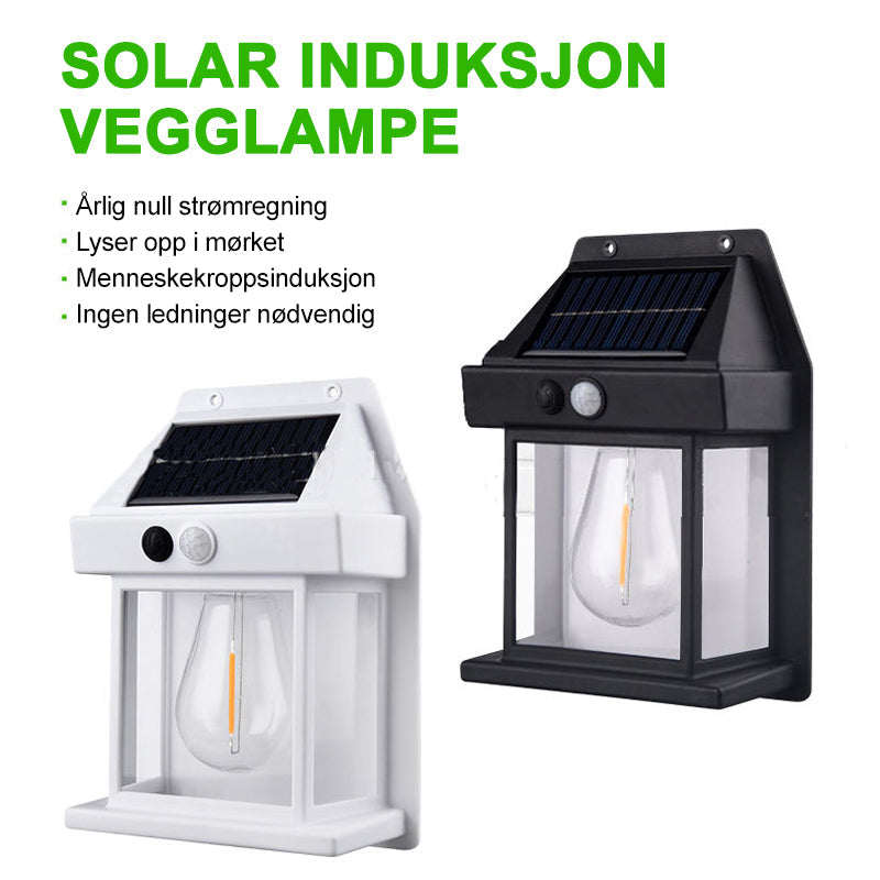 Solcelledrevet utendørs vegglampe med LED, robust metallkropp, smart sensor, IP65, ideell for terrasser og hager.