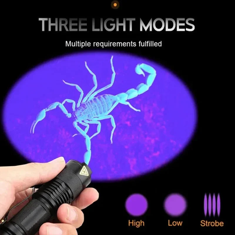 Kompakt, svart UV-lampe for flekkdeteksjon av kjæledyrurin. Essensiell for effektiv rengjøring.