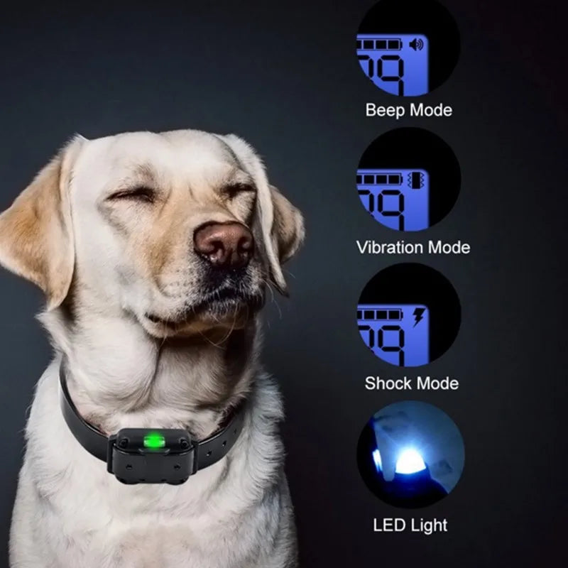 "Svart vanntett elektrisk hundetreningskrage med fjernkontroll, optimal for lydighetstrening i regn og sol."