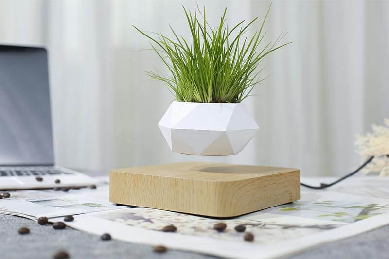 Hvit svevende plantepotte med en japansk bonsai, symboliserer fred og modernitet, DIY