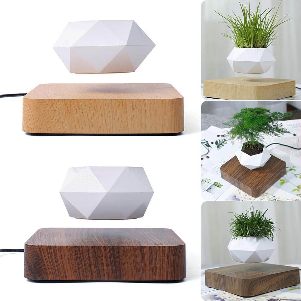 Nærbilde av svevende plantepotte med grønn plante, kreativ hjemmedekor, smartgadget