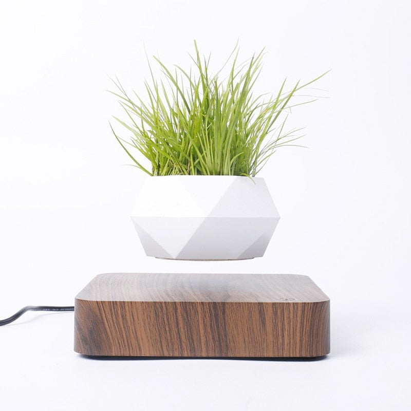 Svevende Air Bonsai potte som roterer sakte i luften, unik gave, elegant design