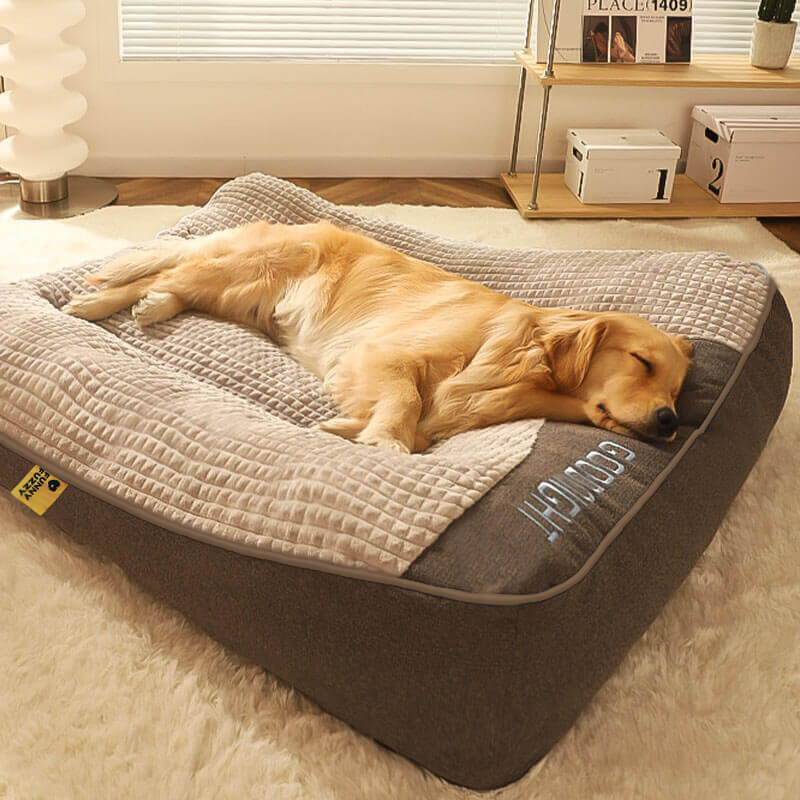 "Tykk ripebeskyttende hundeseng, myk, slitesterk med ryggstøtte, beige farge, i rom med stilfull innredning."