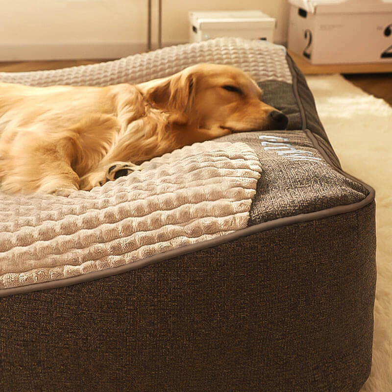 "Tykk ripebeskyttende hundeseng, myk, slitesterk med ryggstøtte, beige farge, i rom med stilfull innredning."