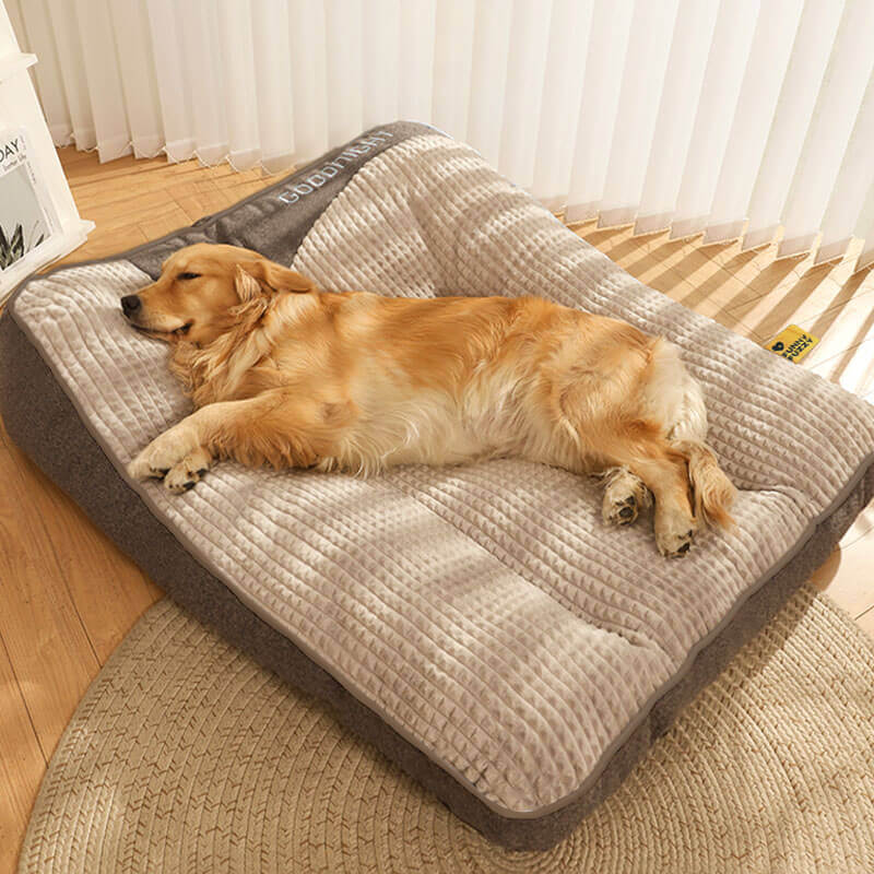 "Tykk ripebeskyttende hundeseng, myk, slitesterk med ryggstøtte, beige farge, i rom med stilfull innredning."