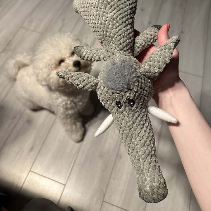 Interaktiv hundeleke som stimulerer og holder hunden aktiv. Uforgjengelig tyggeleke for hjernetrim.