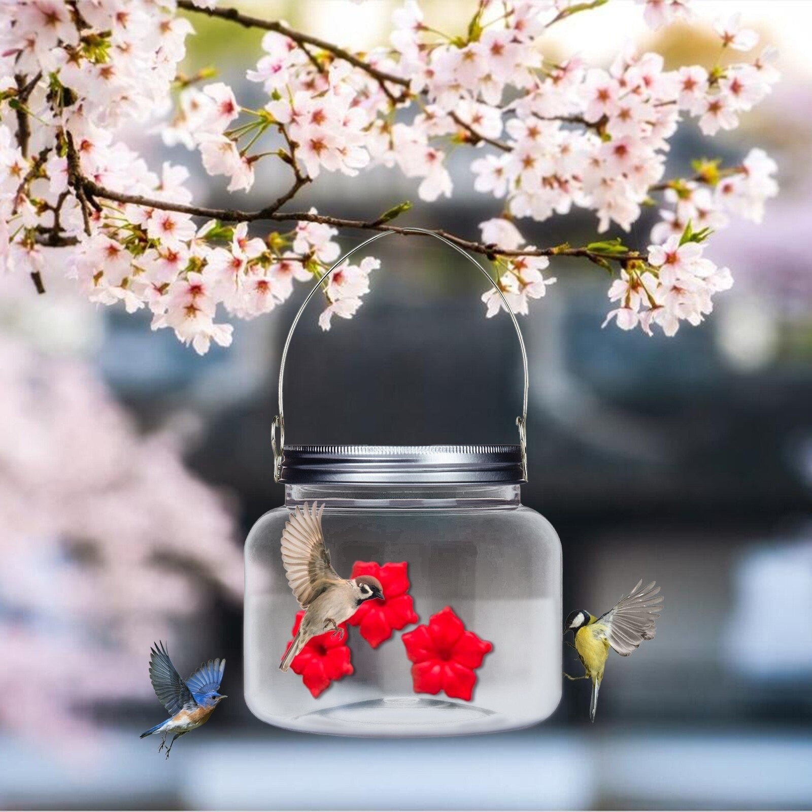 Hjem og hage-kolibrimater, enkel å fylle, med fargerike blomsterporter for effektiv fugletitting.