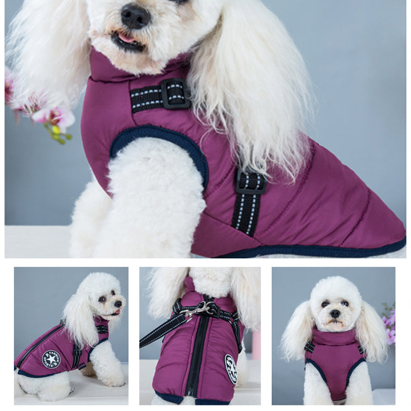 Vanntett hundejakke med refleksbelte, flere farger, varm og stilig design for sikkerhet og komfort utendørs.