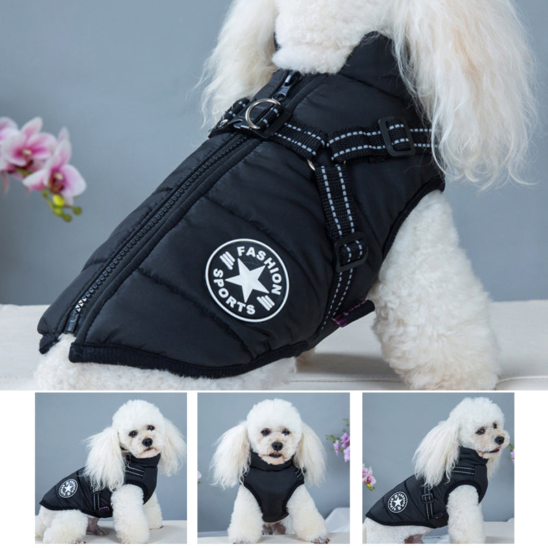 Vanntett hundejakke med refleksbelte, flere farger, varm og stilig design for sikkerhet og komfort utendørs.