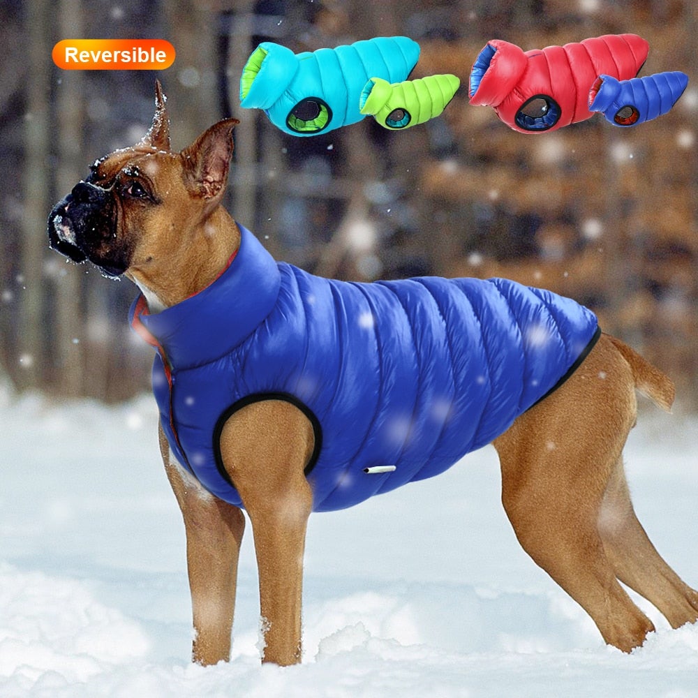 Stilfull og varm hundejakke, vendbar modell i holdbart materiale, ideell for aktive hunder.