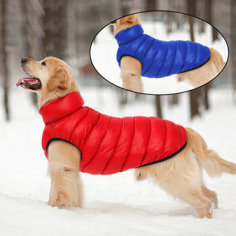 Varm vinterkåpe for hund, vanntett og vendbar design for optimal komfort og beskyttelse mot kulde.